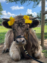 Load image into Gallery viewer, Ring Making Workshop at Mini Mitten Acres