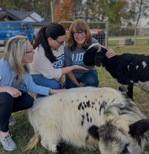 Load image into Gallery viewer, Ring Making Workshop at Mini Mitten Acres