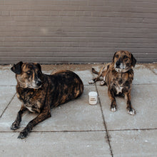 Load image into Gallery viewer, Fluffy Snuggles Candle