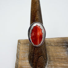 Load image into Gallery viewer, Spiny Oyster Classic Ring | Size 5
